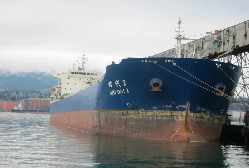 SHI DAI 2 Bulk Carrier IMO 9352951 photo 7