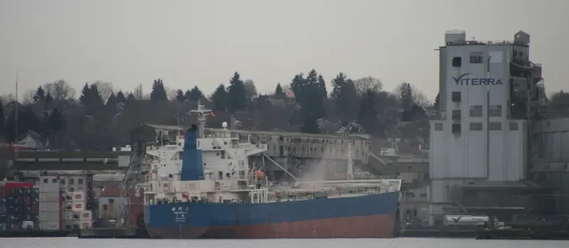 SHI DAI 2 Bulk Carrier IMO 9352951 photo 8
