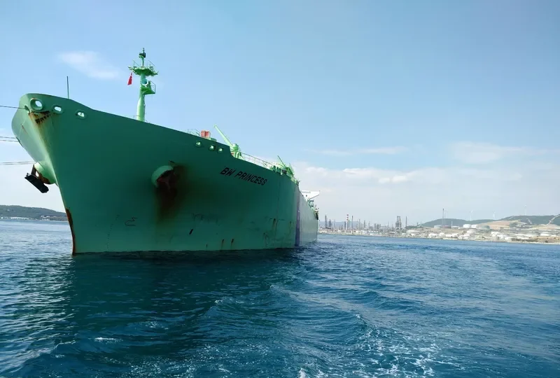 BW PRINCESS General Cargo IMO 9353242 photo 2