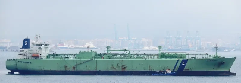 BW PRINCESS General Cargo IMO 9353242 photo 3