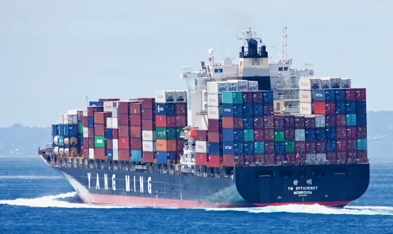 YM EFFICIENCY Container Ship IMO 9353280
