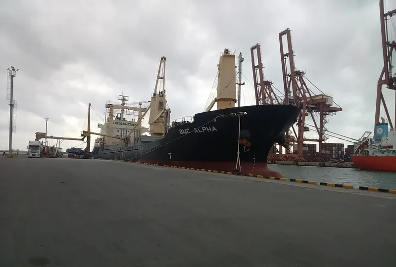 BMC ALPHA General Cargo IMO 9353462 photo 2