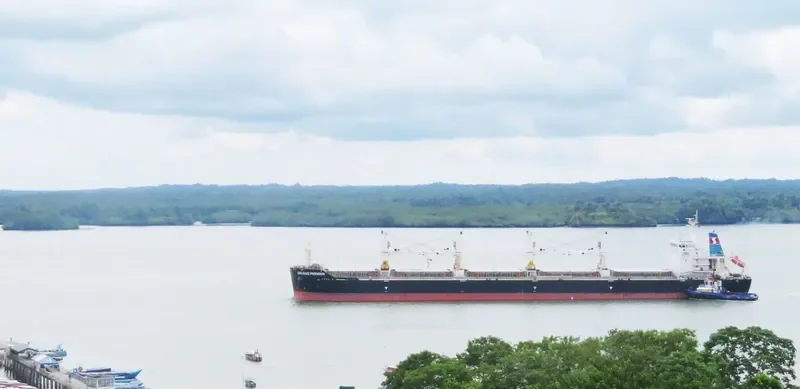 AUZONIA Bulk Carrier IMO 9353670