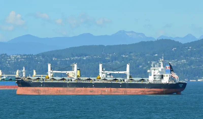 AUZONIA Bulk Carrier IMO 9353670 photo 4