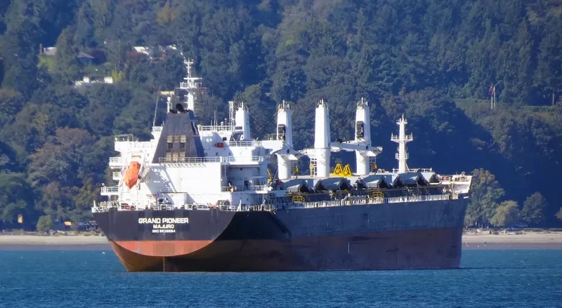 AUZONIA Bulk Carrier IMO 9353670 photo 5