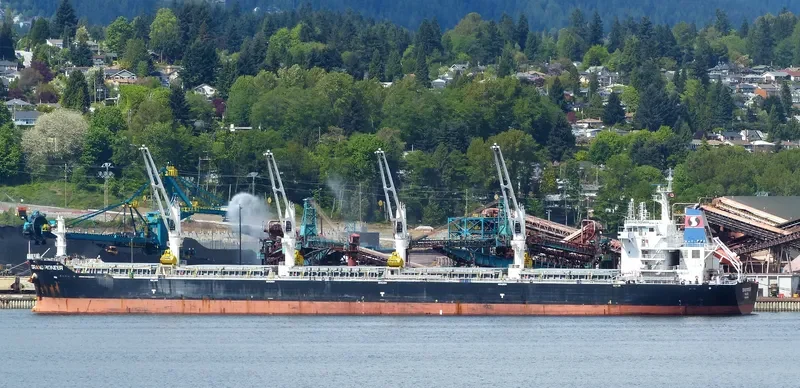 AUZONIA Bulk Carrier IMO 9353670 photo 6