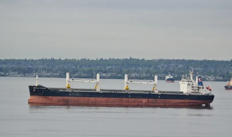 AUZONIA Bulk Carrier IMO 9353670 photo 7