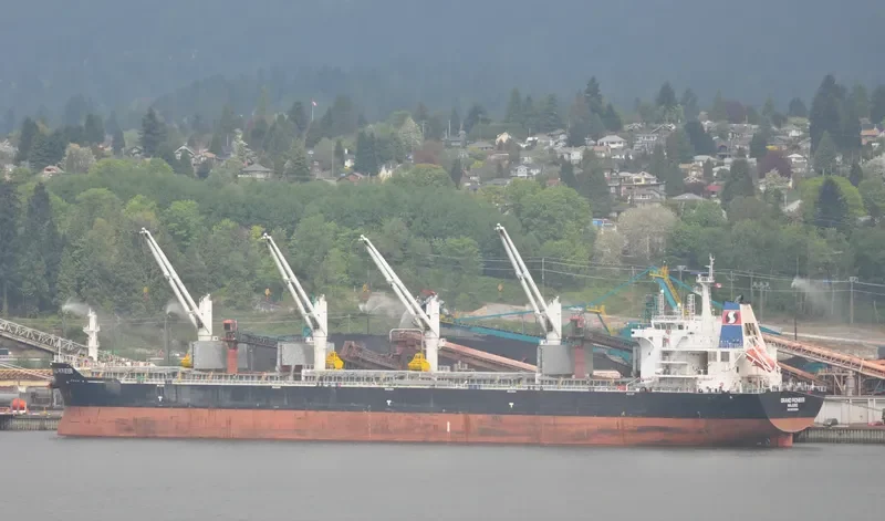 AUZONIA Bulk Carrier IMO 9353670 photo 8