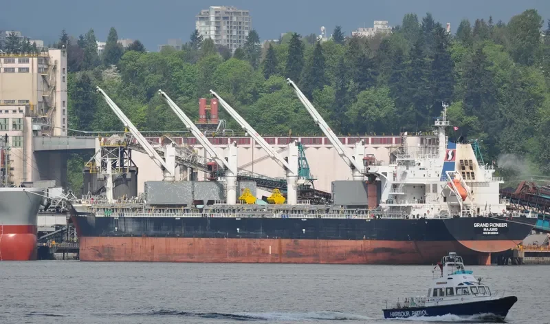 AUZONIA Bulk Carrier IMO 9353670 photo 9