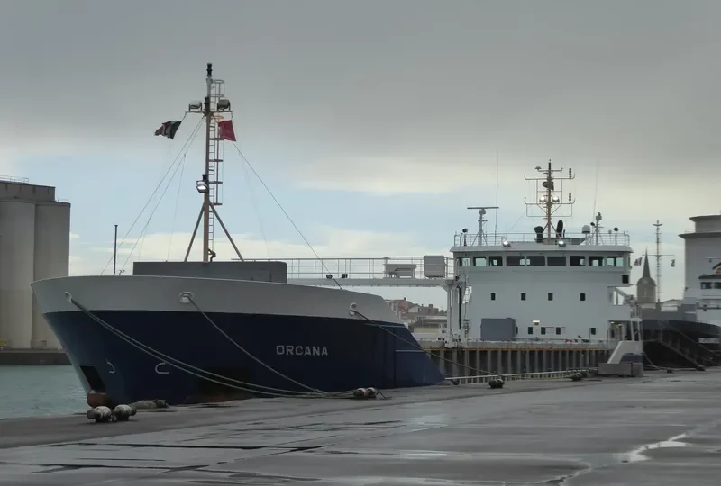 ORCANA General Cargo IMO 9353711