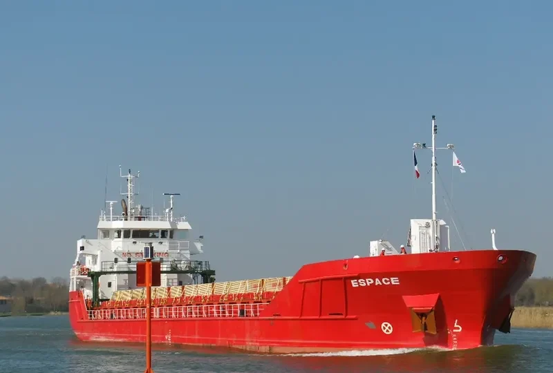 ESPACE Container Ship IMO 9353759 photo 2