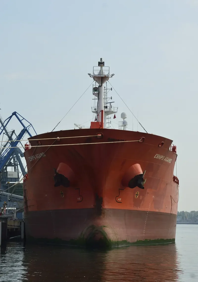 ESHIPS AGAMID Tanker IMO 9353864 photo 10