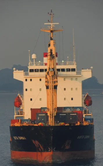 SELATAN DAMAI Container Ship IMO 9353931