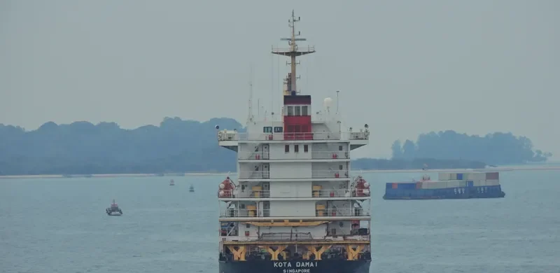 SELATAN DAMAI Container Ship IMO 9353931 photo 2