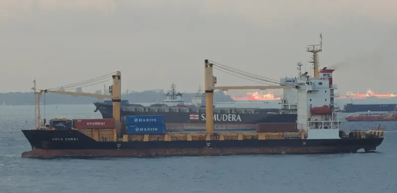 SELATAN DAMAI Container Ship IMO 9353931 photo 3