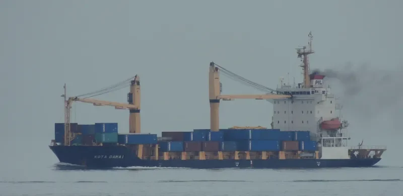 SELATAN DAMAI Container Ship IMO 9353931 photo 6
