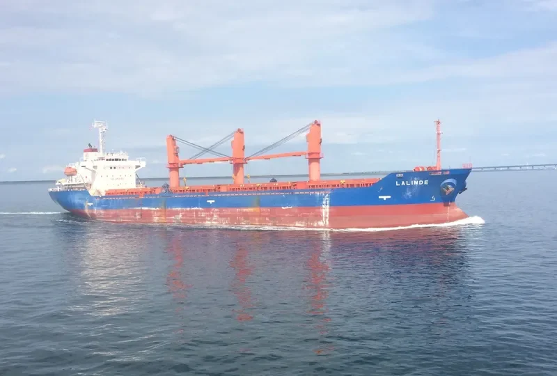 LALINDE Bulk Carrier IMO 9354040 photo 3
