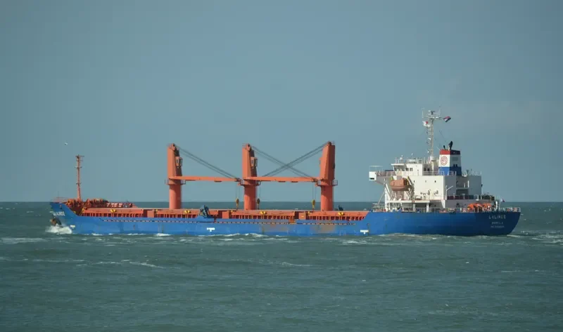 LALINDE Bulk Carrier IMO 9354040 photo 5