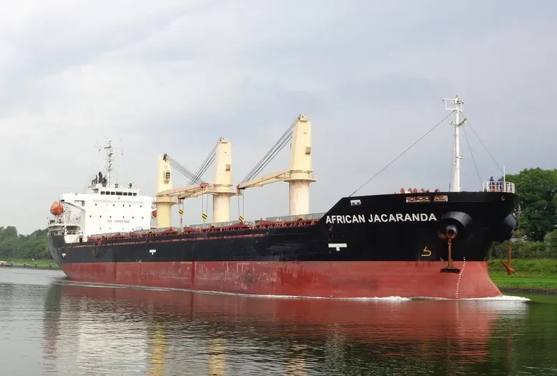 AFRICAN JACARANDA Bulk Carrier IMO 9354076 photo 2