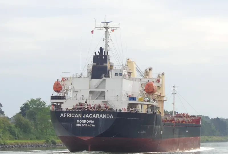 AFRICAN JACARANDA Bulk Carrier IMO 9354076 photo 3