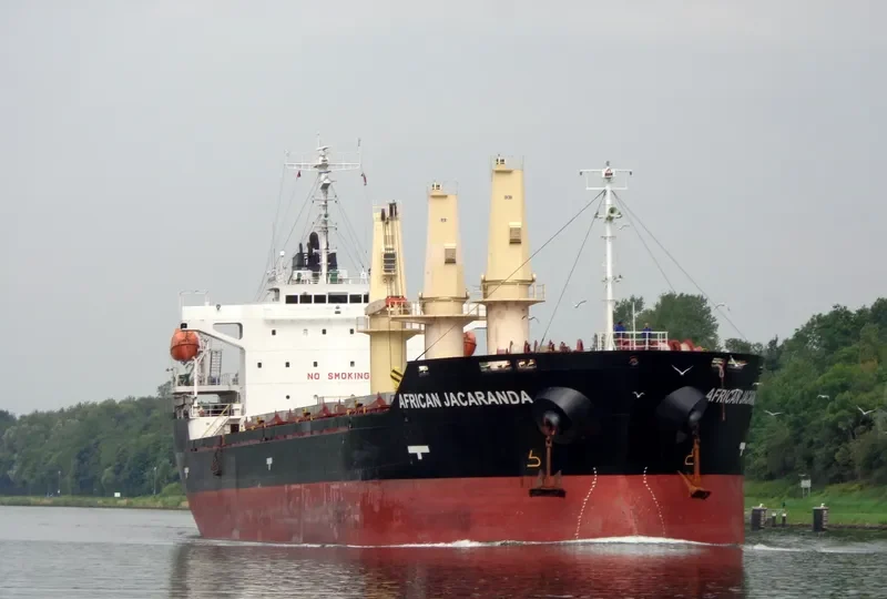 AFRICAN JACARANDA Bulk Carrier IMO 9354076 photo 4