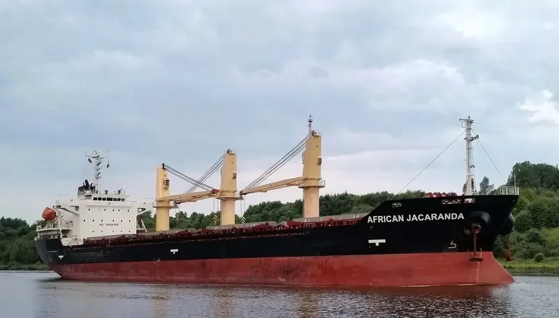AFRICAN JACARANDA Bulk Carrier IMO 9354076 photo 5
