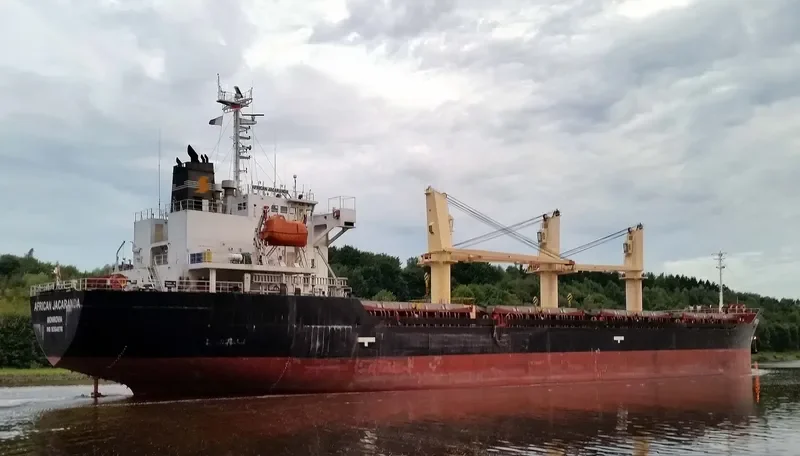 AFRICAN JACARANDA Bulk Carrier IMO 9354076 photo 6