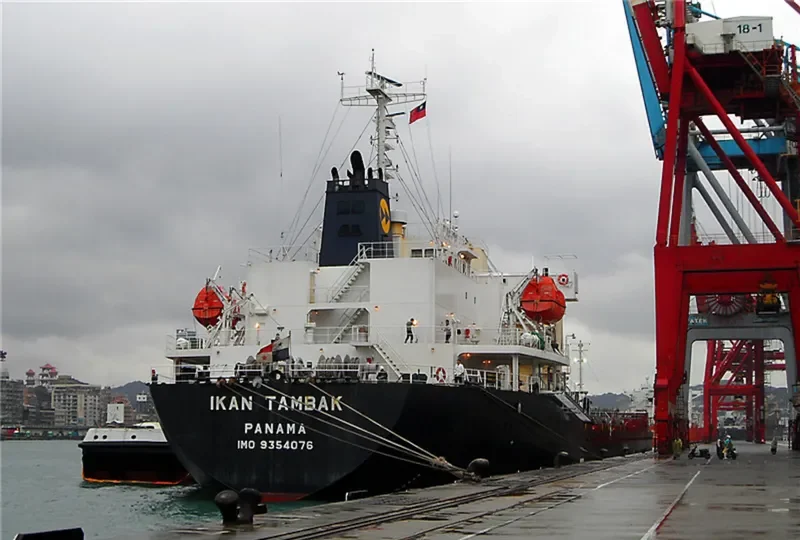 AFRICAN JACARANDA Bulk Carrier IMO 9354076 photo 7