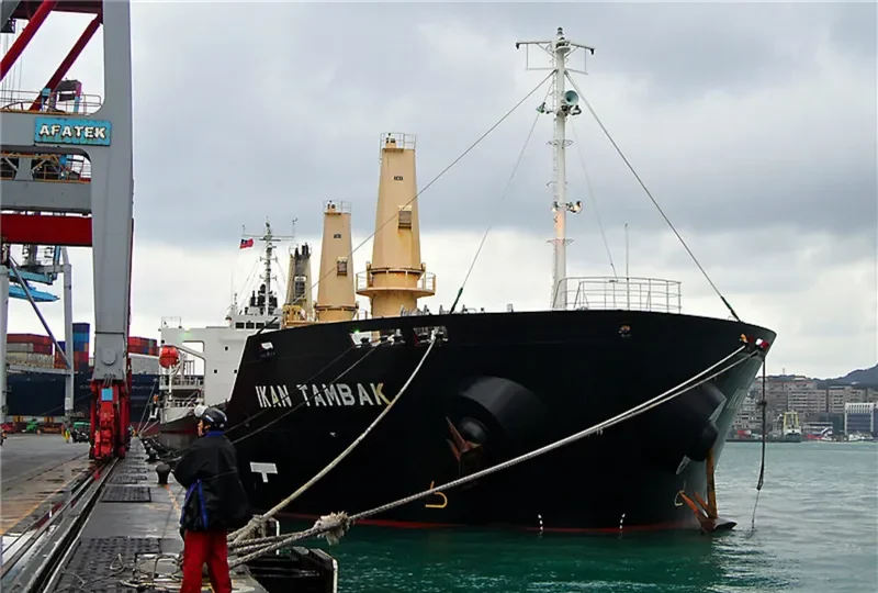 AFRICAN JACARANDA Bulk Carrier IMO 9354076 photo 8