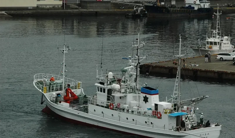 ENOSHIMA MARU General Cargo IMO 9354088 photo 2