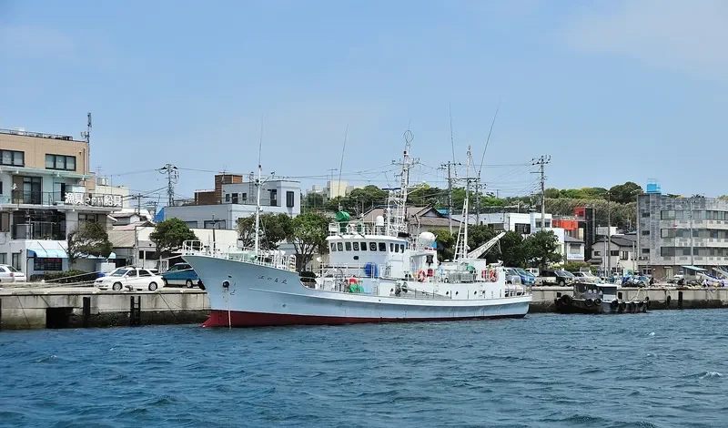 ENOSHIMA MARU General Cargo IMO 9354088 photo 5