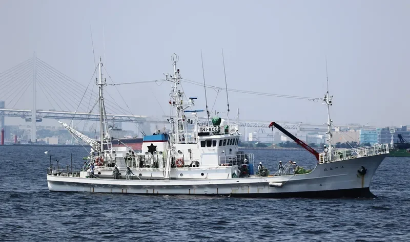 ENOSHIMA MARU General Cargo IMO 9354088 photo 8