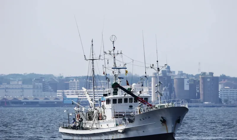 ENOSHIMA MARU General Cargo IMO 9354088 photo 9