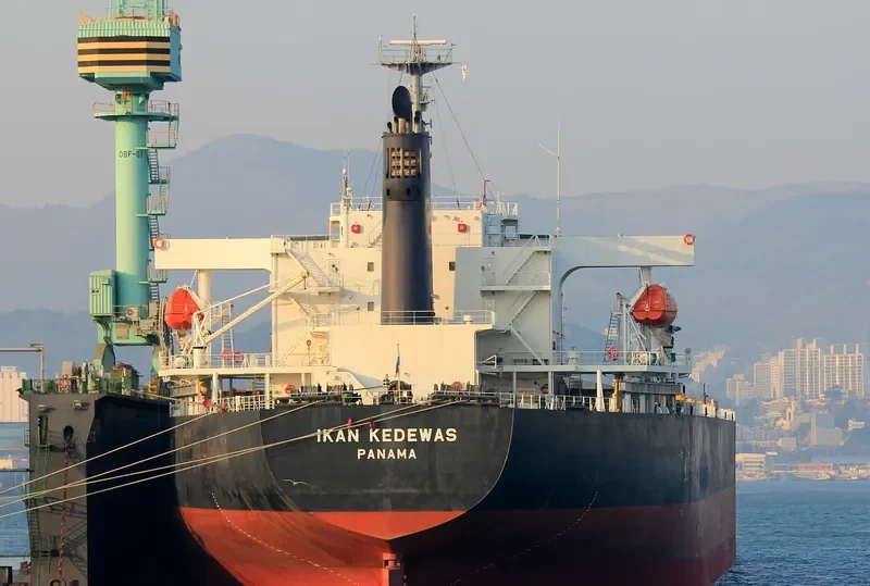 AFEA Bulk Carrier IMO 9354090 photo 2