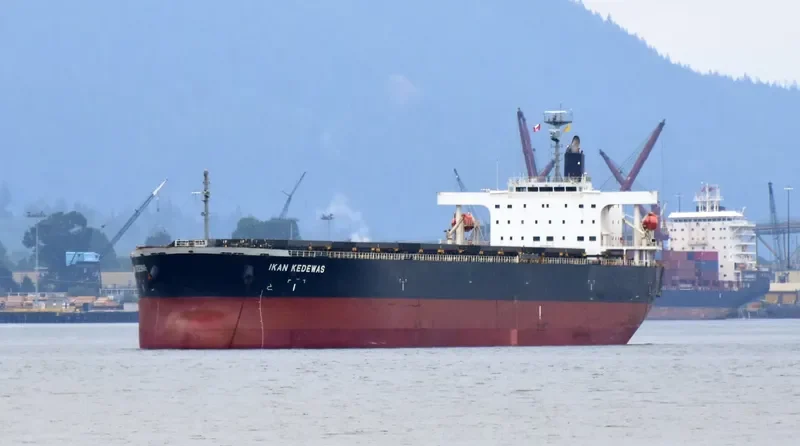 AFEA Bulk Carrier IMO 9354090 photo 3