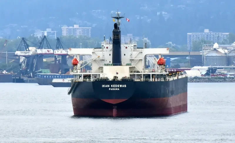 AFEA Bulk Carrier IMO 9354090 photo 4