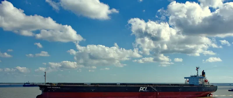 AFEA Bulk Carrier IMO 9354090 photo 6