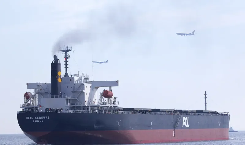 AFEA Bulk Carrier IMO 9354090 photo 7