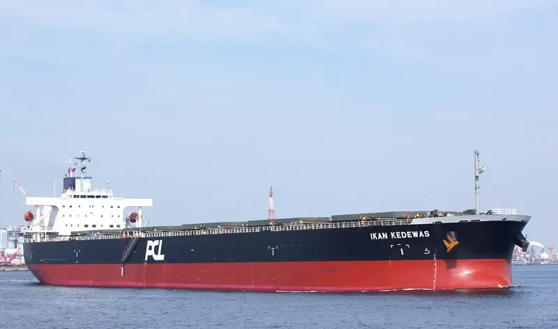 AFEA Bulk Carrier IMO 9354090 photo 8