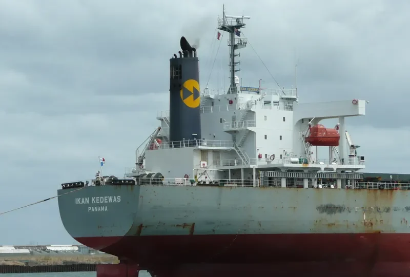 AFEA Bulk Carrier IMO 9354090 photo 9