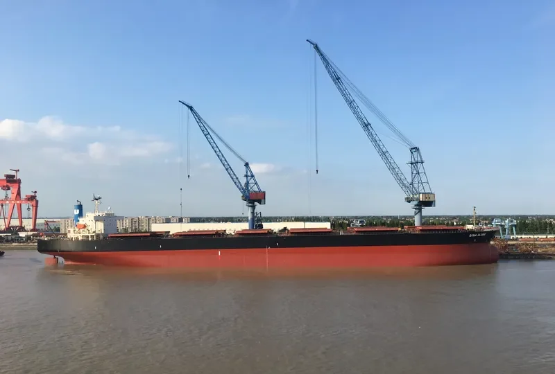 DYNA GLOBE Bulk Carrier IMO 9354105