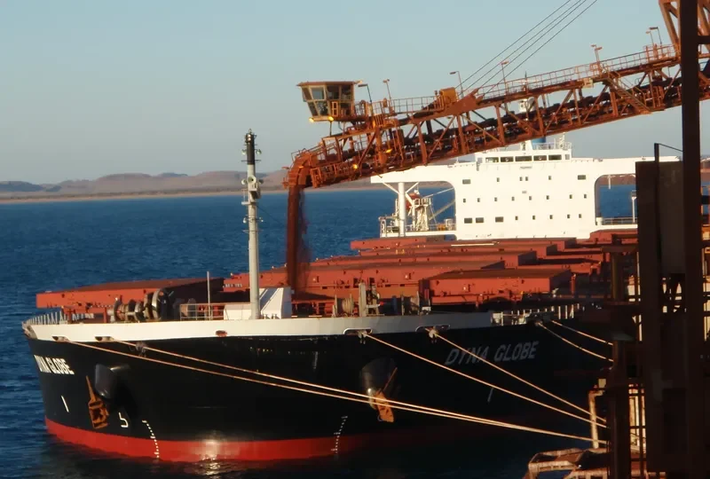 DYNA GLOBE Bulk Carrier IMO 9354105 photo 3