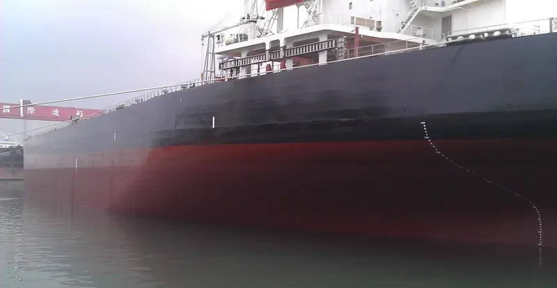 DYNA GLOBE Bulk Carrier IMO 9354105 photo 4