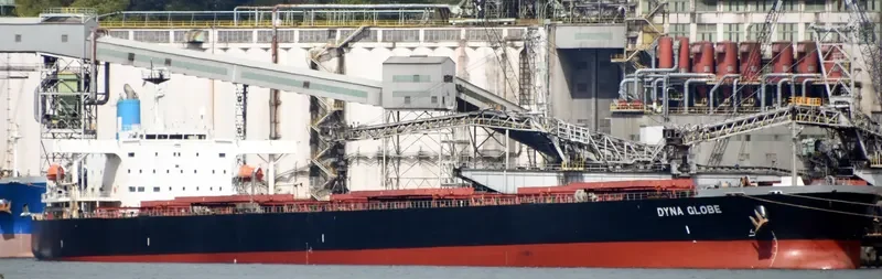 DYNA GLOBE Bulk Carrier IMO 9354105 photo 5