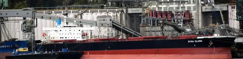 DYNA GLOBE Bulk Carrier IMO 9354105 photo 9
