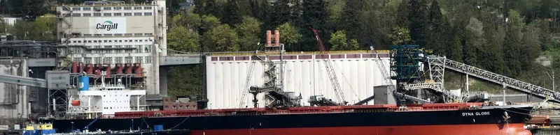 DYNA GLOBE Bulk Carrier IMO 9354105 photo 10