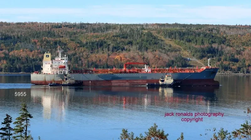 JADE BLOSSOM Tanker IMO 9354179 photo 6