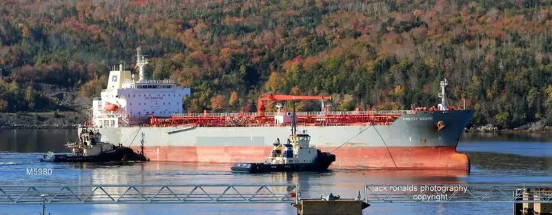 JADE BLOSSOM Tanker IMO 9354179 photo 7