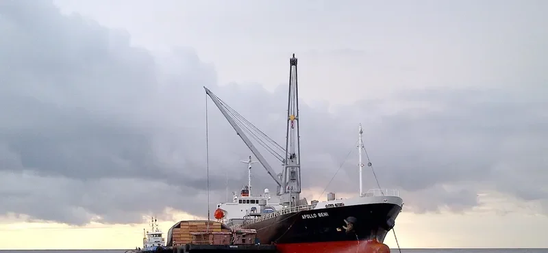 APOLLO BENI General Cargo IMO 9354193 photo 2