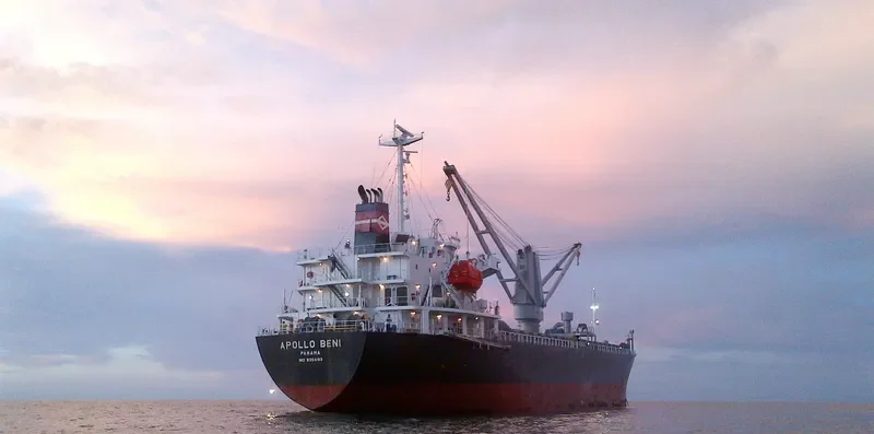 APOLLO BENI General Cargo IMO 9354193 photo 5